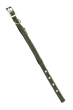 Obojek reflexní DAYTONA DELUXE C15/35 zelené FP