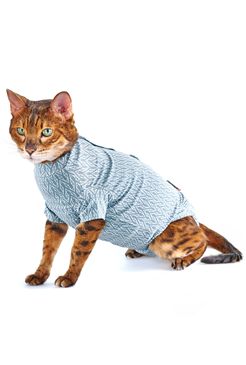 Obleček Body Suit Step'n Go Cats S modrý BUSTER
