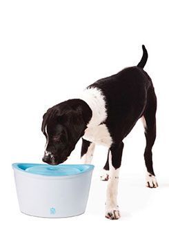 Fontána DOGIT plast velká 6l