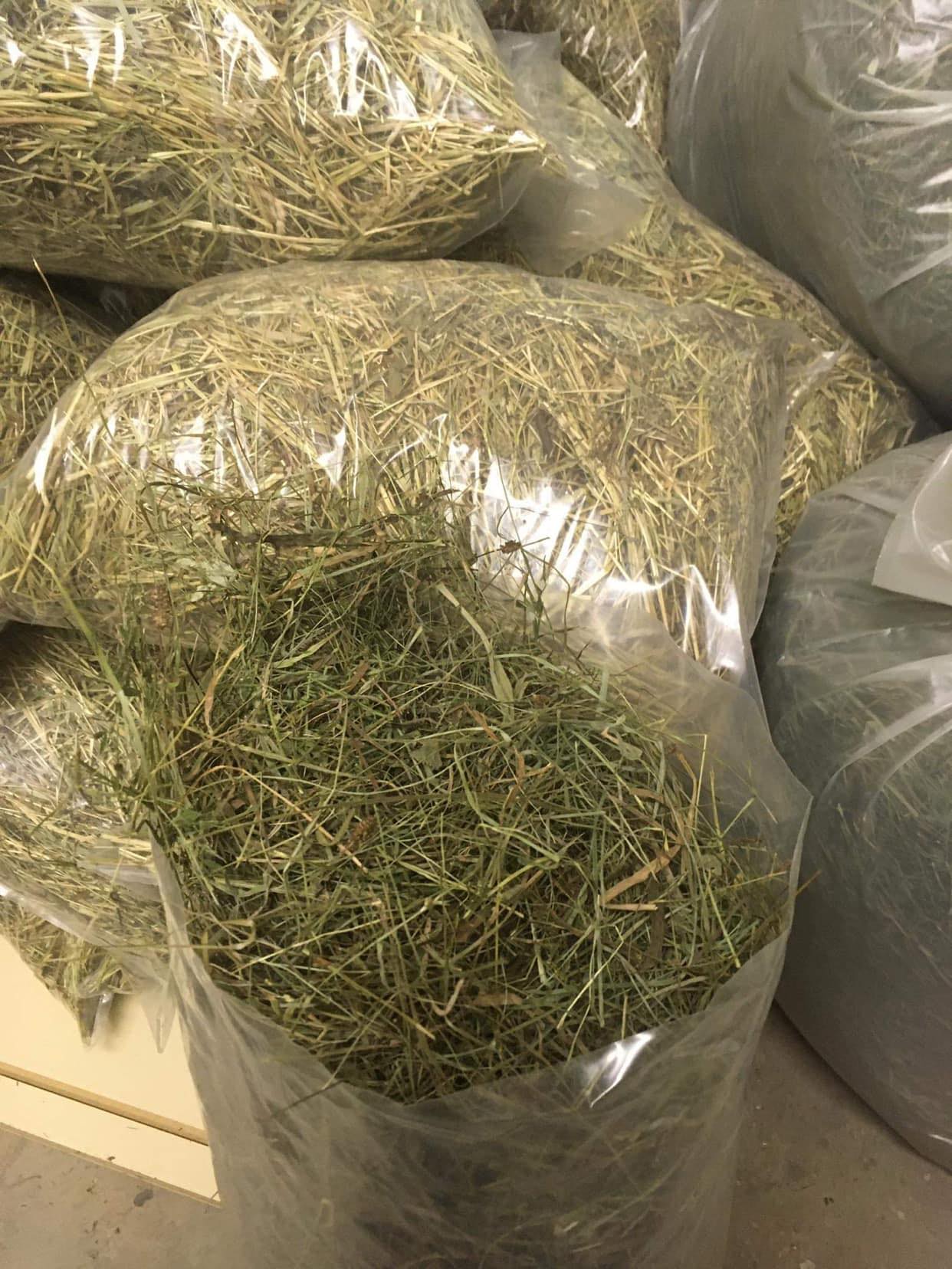 Dáme seno - první seč 2kg prodejna