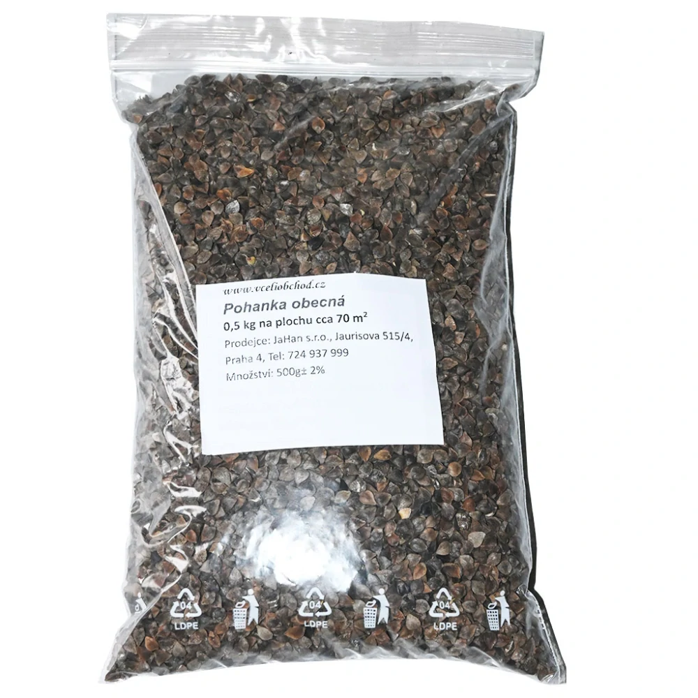 Pohanka obecná - 0,5 kg