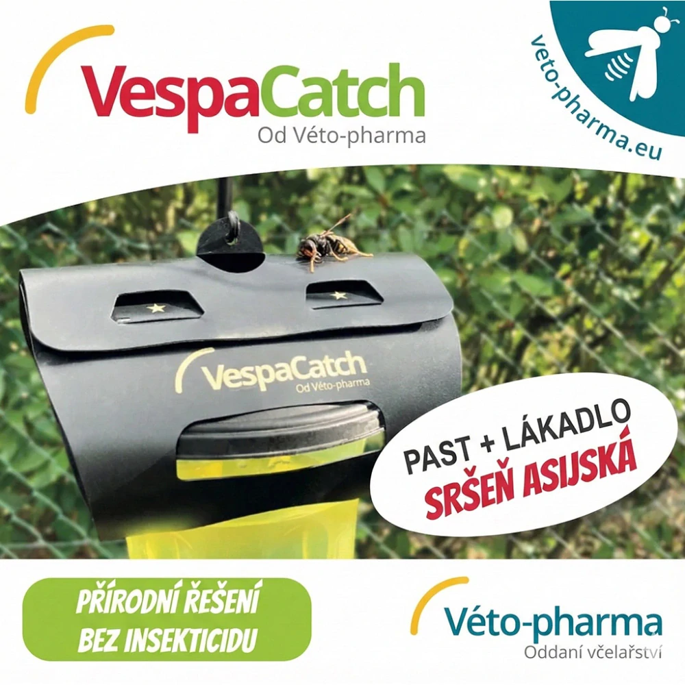 Past na asijské sršně VespaCatch