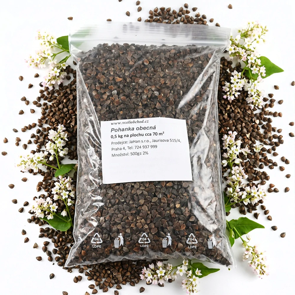 Pohanka obecná - 0,5 kg