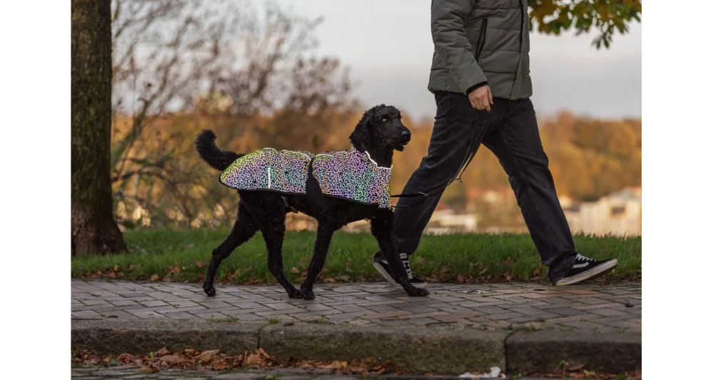 Outdoorový kabátek LIMOUX Reflect, multikolor XS: 30cm, hruď: 50-60cm, krk: 24-34cm