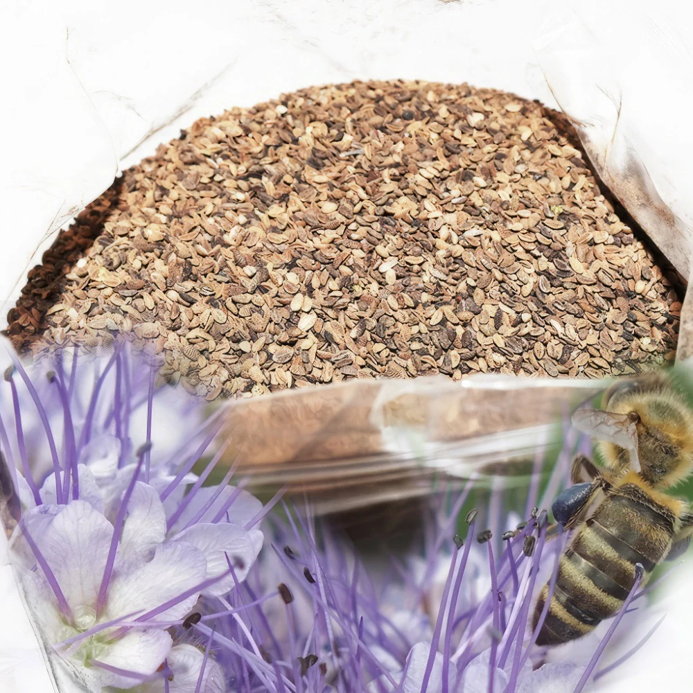 Svazenka vratičolistá - 1 kg