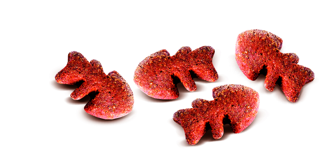Carnilove Cat Crunchy Snack Salmon & Mint 50g