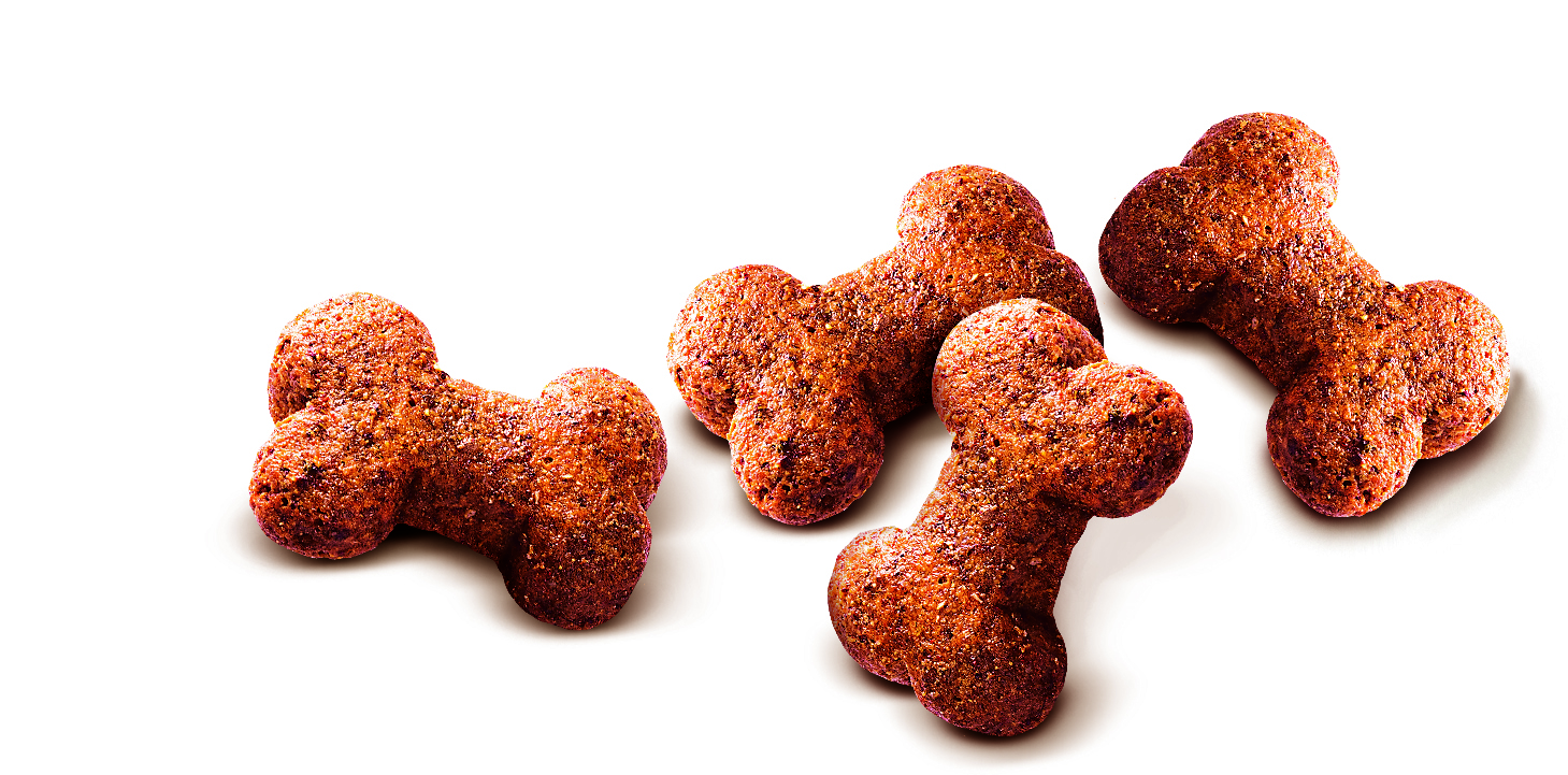 Carnilove Dog Crunchy Snack Wild Boar & Rosehips 200g