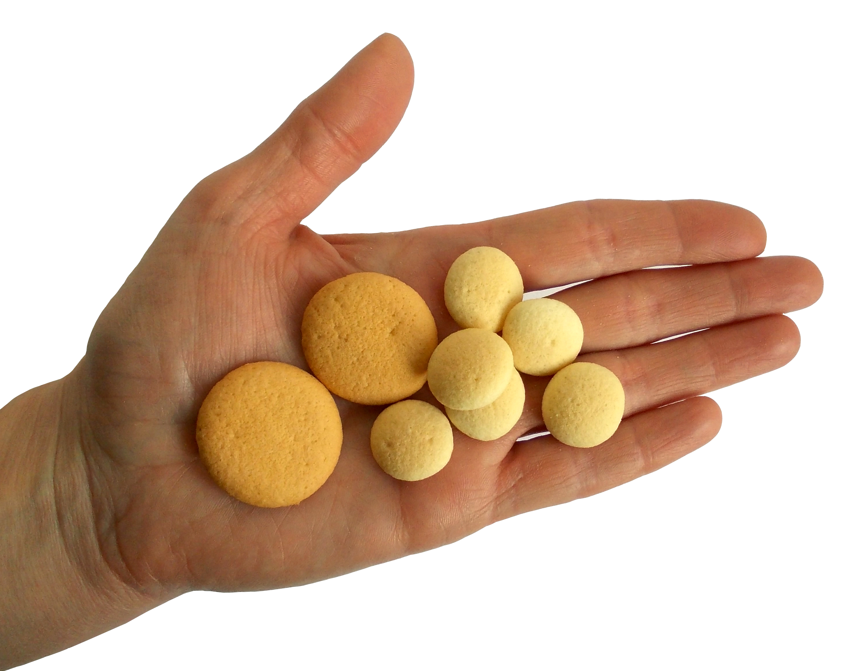 MINI piškoty pro psy 120g