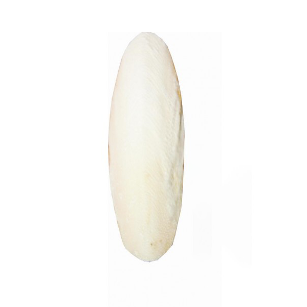 Fine Pet Sépiová kost broušená 15cm (+/- 3cm) 15ks/bal