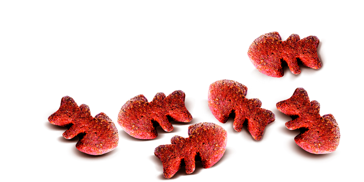 Carnilove Dog Crunchy Snack Mackerel & Raspberries 200g