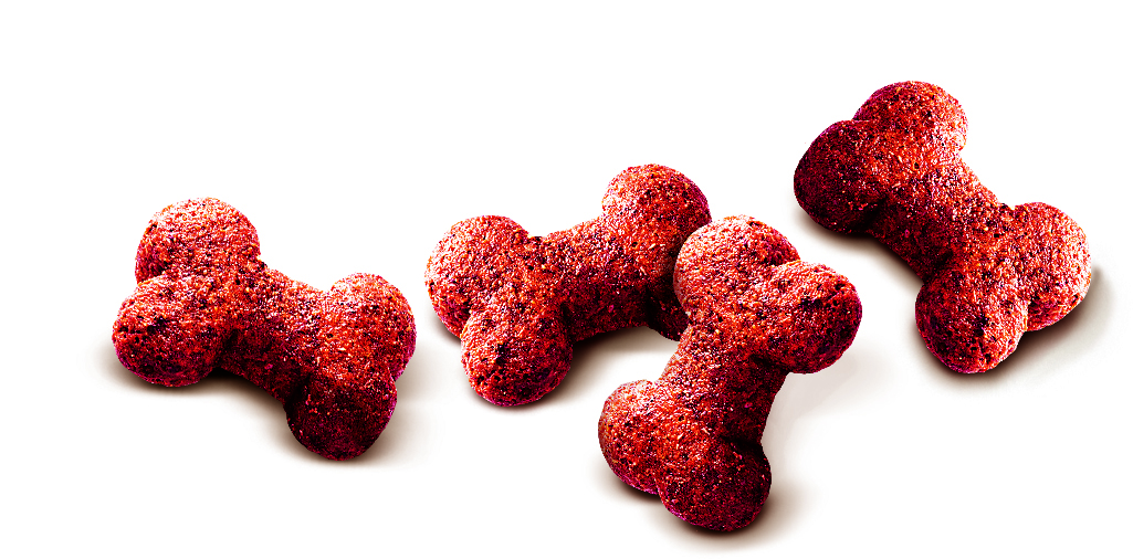 Carnilove Cat Crunchy Snack Duck & Raspberries 50g