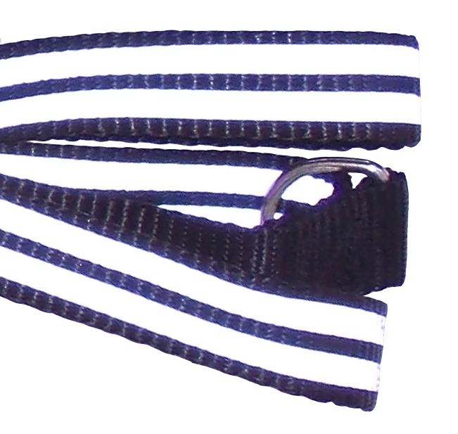 Vodítko přepínací reflexní 20mm x 200cm