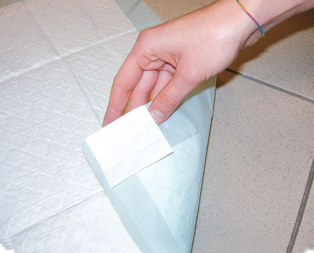 Record plenová podložka BestBone 60 x 60cm 580g s lepícími rožky 10+1ks ZDARMA