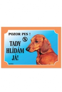 Tabulka Tady hlídám! Jezevčík hladkosrstý 1ks prodejna