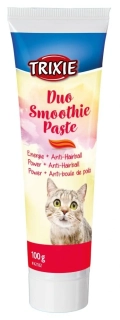 Duo Smoothie energetická pasta proti bezoárům, 100g PRODEJNA
