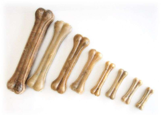 Kost bůvolí 12cm 30ks